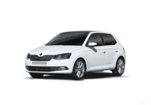 Fabia Style 1,0 TSI DSG