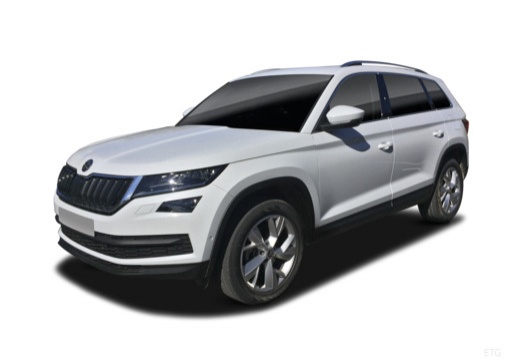 Kodiaq 2,0 TDI SCR 4x4 Active DSG