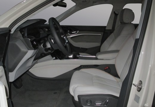 Voitures neuves Audi E-TRON Avus Extended Paris