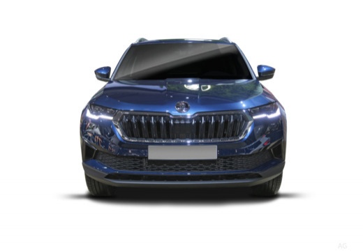 Voitures neuves ŠKODA KAROQ Selection Clermont-Ferrand