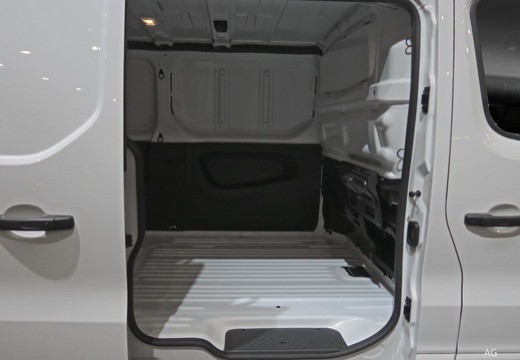 RENAULT TRAFIC FGN L2H1 3000 KG BLUE DCI 130 CONFORT - Véhicule Occasion Océane Auto