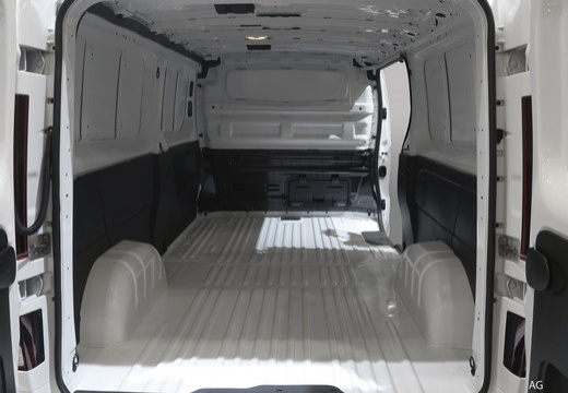 RENAULT TRAFIC FGN L2H1 3000 KG BLUE DCI 130 CONFORT - Véhicule Occasion Océane Auto