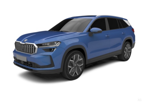 Kodiaq 2.0 TDI 150 ch SCR DSG7 7pl