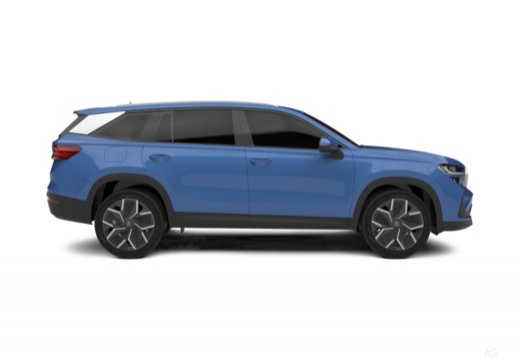 Kodiaq 2.0 TDI 150 ch SCR DSG7 7pl