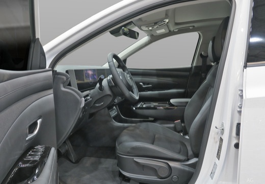 HYUNDAI Tucson 1.6 T-GDI 253 Plug-in BVA6 Executive - Véhicule Occasion Océane Auto